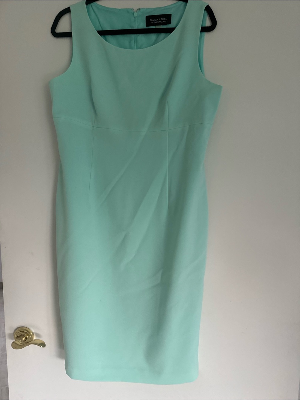Black Label by Evan-Picone Mint Sheath Dress